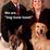 Profile picture for Linda Sears
