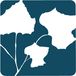 Profile picture for Kikuchi + Kankel Design Group