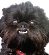 Profile picture for RealtorTimBrown
