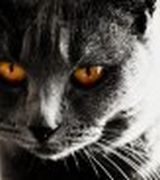Profile picture for KimPollack