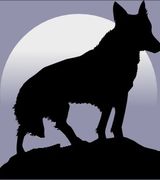 Profile picture for Lone Wolf Drywall
