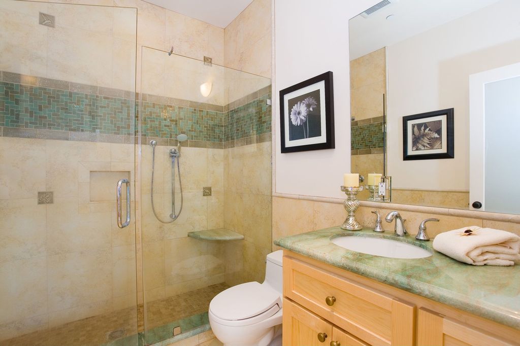 Modern 3/4 Bathroom with French doors, Onyx counters, Framed Partial Panel, Undermount sink, Handheld showerhead, Shower
