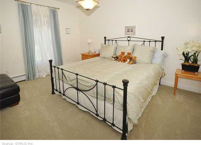 Traditional Guest Bedroom with flush light, Carpet, Standard height