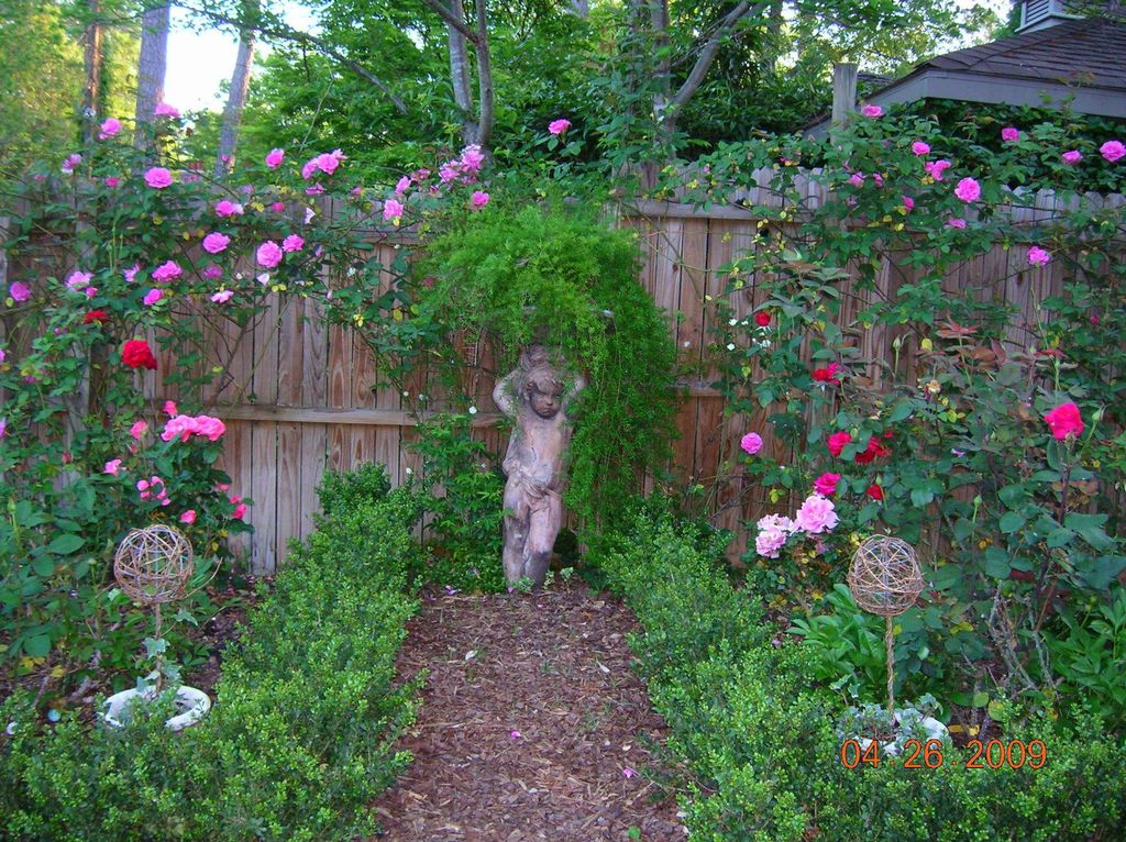 Traditional Landscape/Yard with Fence, Gravel landscape