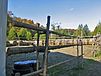 1684 Campagna Dr