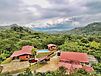 Adjuntas Coffee Plantation