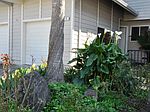 33 Meadowbrook Ct, Cotati, CA