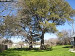 102 Ford St, Liberty Hill, TX