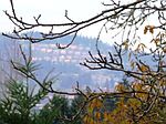 15510 SE Wallace Rd, Milwaukie, OR