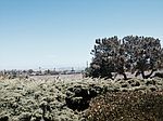 1224 Catalina Blvd, San Diego, CA