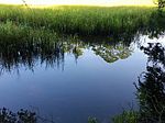 Elliese Ct, Yulee, FL