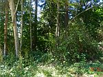 0 Anchor Way LOT 65, Belfair, WA