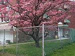 Langdon Street #, Philadelphia, PA