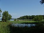 PR 8525 LOT 9, Broaddus, TX