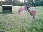 9088 D 1320 Rd, Lamar, OK