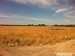 14066 S State Rt. Fron. Rd, Manteca, CA