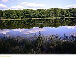 ON Southgate Rd, Argyle Twp, ME