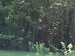 Martel Rd, Caledonia, OH