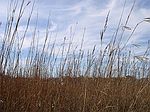 S17-t20s-r49w, Eads, CO