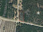 Hwy 301 Alma Flournoy Rd NE, Ludowici, GA