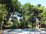 8601 SW 181st St, Palmetto Bay, FL