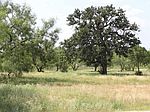 20009-B Fault Line, Horseshoe Bay, TX