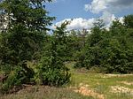 Pine Acres Rd, Windsor, SC
