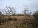 Blk 5 Young AveLOT 1, Port Lavaca, TX