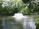 9 Circle Ln, Albany, NY