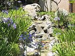 21821 Burbank Blvd, Woodland Hills, CA