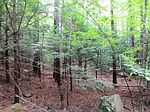 52 Brook Rd, Amherst, NH