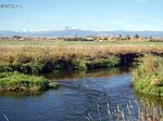 4468 Thompson Pkwy, Johnstown, CO