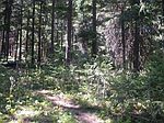 5 Xx Powerline (lot 2) Rd, Cle Elum, WA