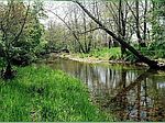 Grapevine Rd LOT 27, Marshfield, MO