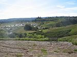 605 Tabor Dr APT 4, Scotts Valley, CA