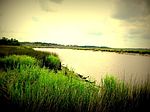 700 Peter King Rd, Riceboro, GA