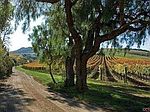 7020 Santa Rosa Rd, Buellton, CA