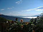 452 Windswept Dr, Asheville, NC