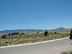 101 Settler Ln, Carrizozo, NM