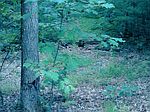 95 Jenkins Rd, Andover, MA