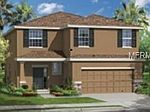 2923 New Ballast Point, Tampa, FL