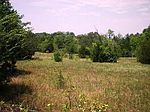 56307 Hey 271 S, Talihina, OK