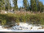 Nka Breckenridge Dr, Ronald, WA