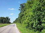 Starlight Ln, Kenbridge, VA