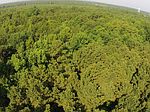Ridge Rd, Creswell, NC
