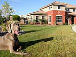 1640 N Zaragoza Rd, El Paso, TX