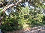 Dowty Ln, Orange Beach, AL